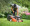 A man is preparing to use a lawnmower to cut the grass on a sunny day